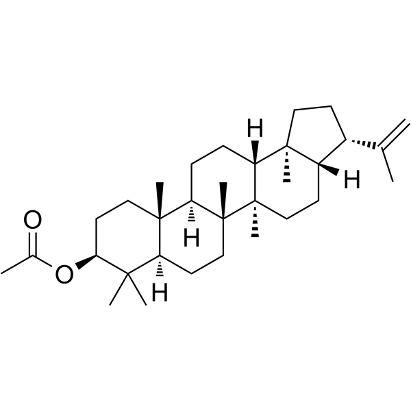 3β-Acetoxy-hop-22(29)-ene 76582-61-1